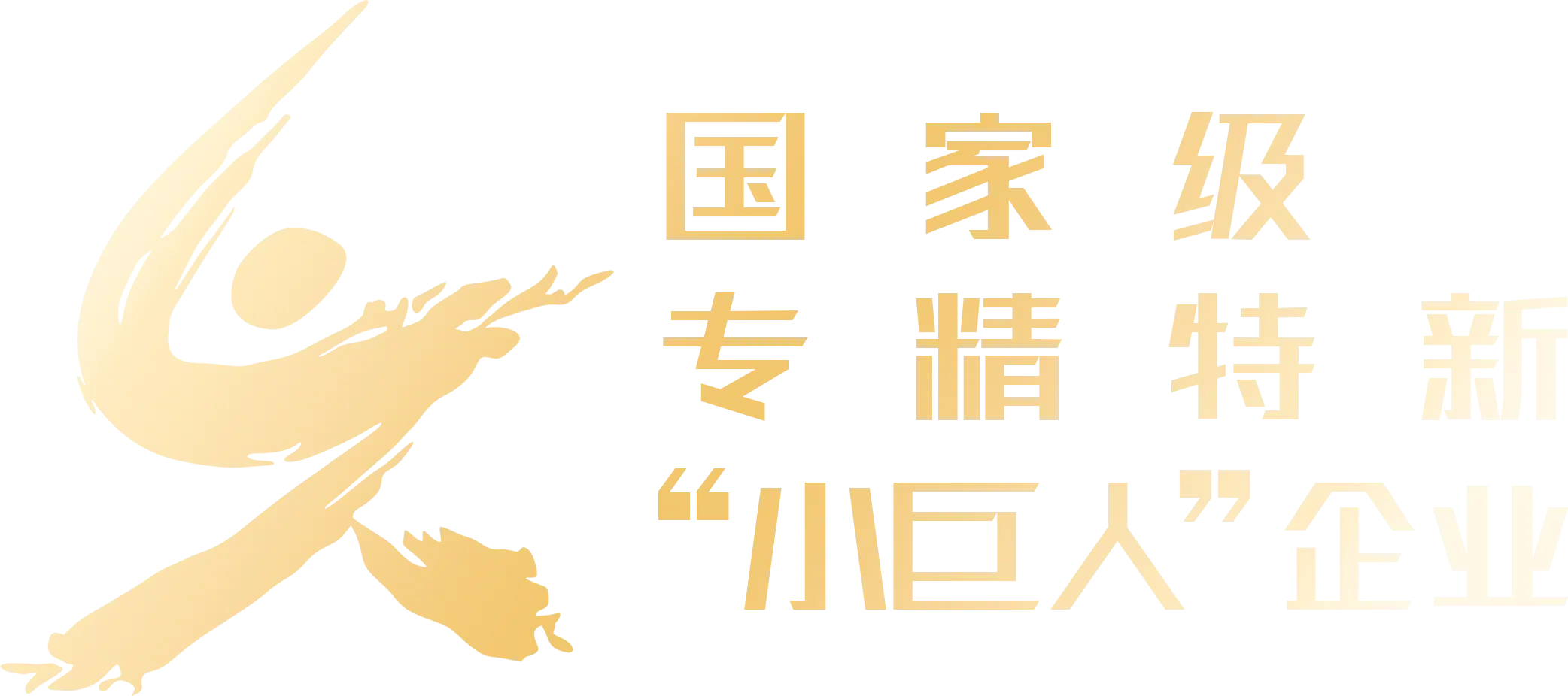 国家级专精特新小巨人